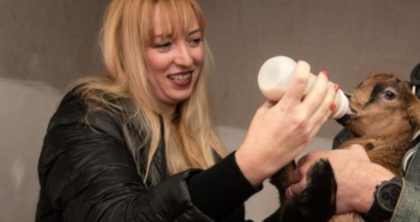  Gazetari: SPAK, dosje për Samir Manen dhe Frida Krifcën, për vjedhjen e fondeve të BE