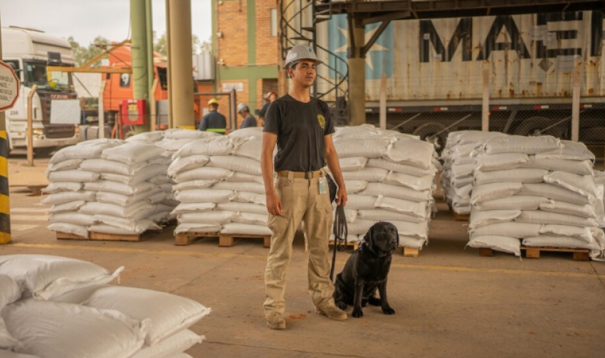  Mafia shqiptare në Amerikën Latine – Franc Çopja trafikoi 28 ton kokainë në një vit