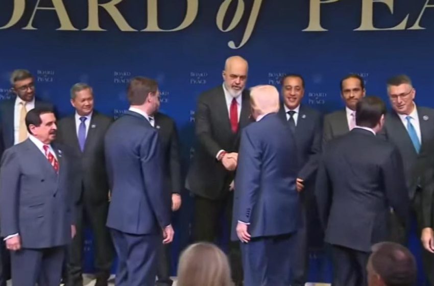  Këta fyejnë çdo inteligjencë njerëzore