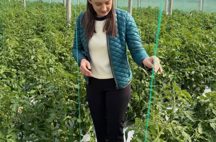  Zegjineja inspekton kastravecat e Arapajt