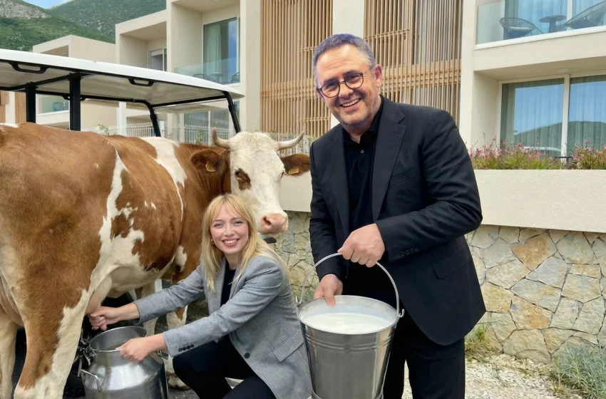  Ish-ministrja e afërt me Samir Manen, merret në pyetje nga SPAK