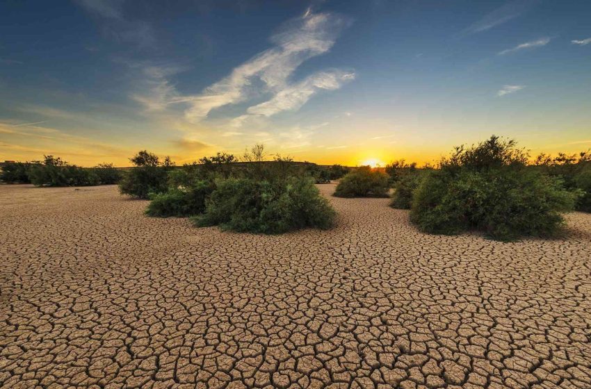  Studimi: Thatësira po nxit rezistencën ndaj antibiotikëve