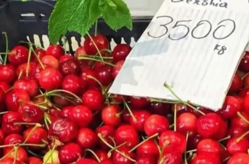  Çmenduria: 35 mijë lekë kilogrami i qershisë në Tiranë