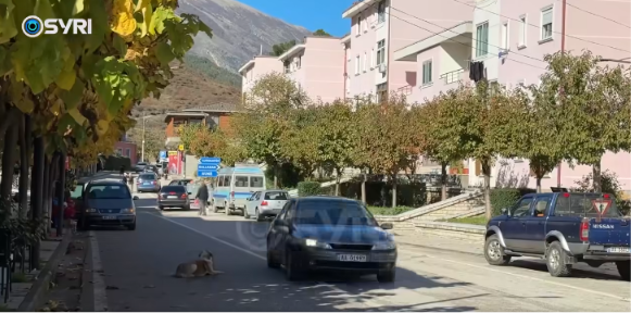  VIDEO: Situata dramatike në Këlcyrë, të gjithë po largohen