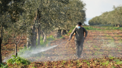  Pesticidet helmojnë gati gjysmën e fermerëve të botës çdo vit